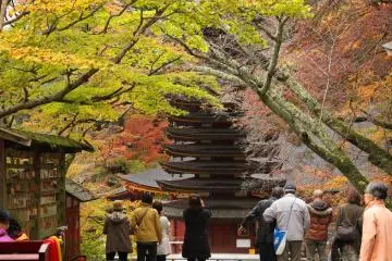 <p>The 13-story pagoda obscured by leaves</p>
