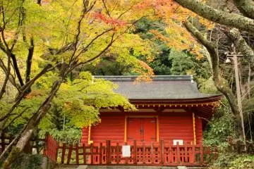 <p>The East Treasure House</p>
