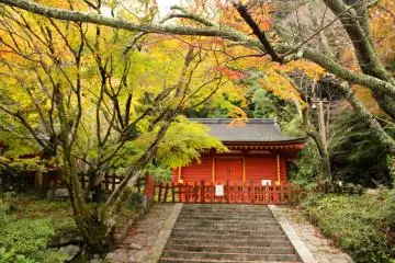 <p>The East Treasure House and the stairs leading to it</p>
