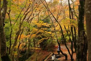 <p>Under the trees in front of the prayer hall</p>

