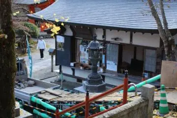 <p>Golden ginko leaves on the steps of Shinsei-Den Hall</p>
