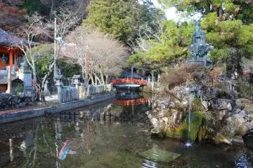 <p>The confluence of the Tatsu no Kuchi's stream and another stream from the mountains</p>
