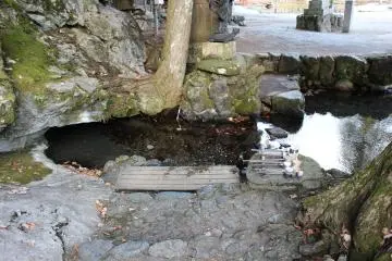 <p>The Tatsu no Kuchi (Dragon's Mouth) Spring. Water dippers are placed by the spring for visitors to drink with. The water is super clear and clean</p>
