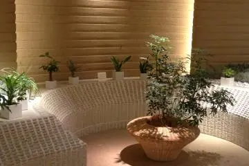 <p>The oasis called Beauty Apothecary.</p>
