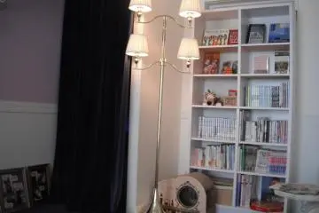 <p>หนังสือเกี่ยวกับแมวมากมาย</p>
