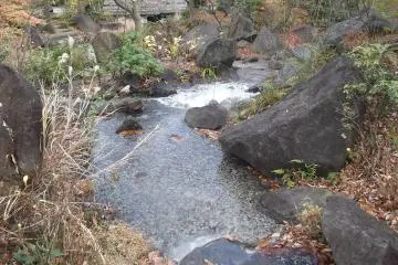 <p>The stream in the Chinese garden</p>
