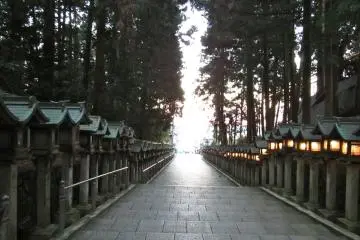 <p>The light at the end of Hozanji Temple's entrance way lantern and tree tunnel</p>

