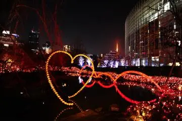 모리 가든 일루미네이션