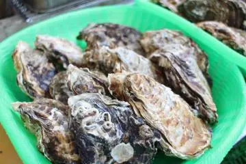 <p>The oysters are all from Hiroshima</p>
