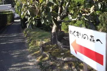 <p>These signs guide you up the path to the village</p>
