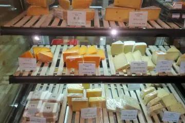 Cheese no Koe