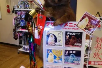 Mascot on the reception desk
