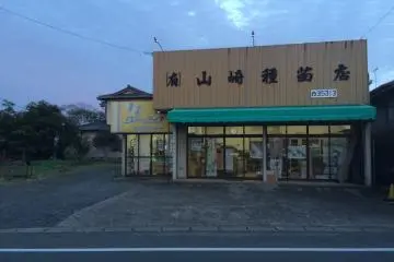 <p>Local shops line the highway to the ocean.</p>
