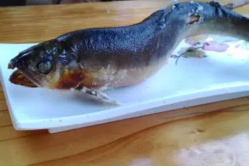 <p>Once arriving at Fukuroda Falls one can smell the delicious Ayu, or sweetfish, which Fukuroda Falls is famous for. It is cooked over a fire and has a slight salty taste..&nbsp;</p>
