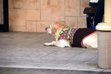 이런 곳에도!