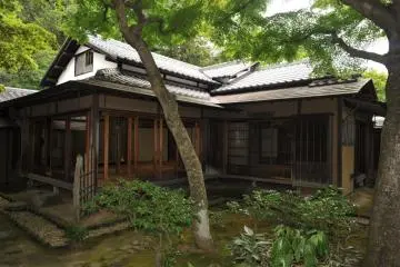 Japanese Tea Experience in Odawara