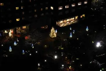 Close-up look at the illuminated garden
