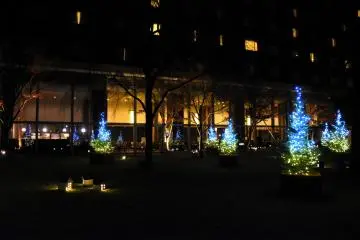 <p>Chic Christmas illumination in the garden of Grand Prince Hotel New Takanawa</p>
