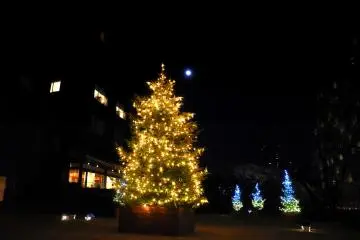<p>There was a full moon in the sky on Christmas night. Full, blue moon Christmas!</p>
