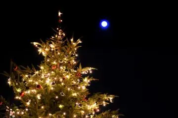 <p>Illuminated Christmas tree under the blue, full moon<br />
&nbsp;</p>
