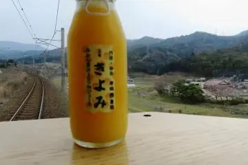Try local fruits like this kiyomi citrus drink on the way to Amanohashidate.