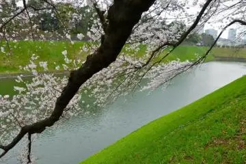 Photo: <a href="http://th.japantravel.com/tokyo/%E0%B9%80%E0%B8%AA%E0%B9%89%E0%B8%99%E0%B8%97%E0%B8%B2%E0%B8%87%E0%B9%80%E0%B8%94%E0%B8%B4%E0%B8%99-%E0%B8%8A%E0%B8%B4%E0%B9%82%E0%B8%94%E0%B8%B0%E0%B8%A3%E0%B8%B4%E0%B8%81%E0%B8%B0%E0%B8%9F%E0%B8%B8%E0%B8%8A%E0%B8%B4/11005" target="_blank" rel="noreferrer noopener nofollow">Tomoko Kamishima </a>