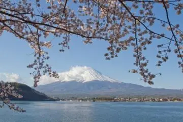 Photo: <a href="http://th.japantravel.com/yamanashi/%E0%B8%94%E0%B8%AD%E0%B8%81%E0%B8%8B%E0%B8%B2%E0%B8%81%E0%B8%B8%E0%B8%A3%E0%B8%B0%E0%B8%A3%E0%B8%AD%E0%B8%9A%E0%B9%86%E0%B8%A0%E0%B8%B9%E0%B9%80%E0%B8%82%E0%B8%B2%E0%B8%9F%E0%B8%B9%E0%B8%88%E0%B8%B4/9064" target="_blank" rel="noreferrer noopener nofollow">Nicole Bauer </a>