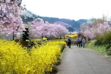 Photo: <a href="http://th.japantravel.com/fukushima/%E0%B8%AE%E0%B8%B0%E0%B8%99%E0%B8%B0%E0%B8%A1%E0%B8%B4%E0%B8%A2%E0%B8%B0%E0%B8%A1%E0%B8%B0-%E0%B8%A0%E0%B8%B9%E0%B9%80%E0%B8%82%E0%B8%B2%E0%B9%81%E0%B8%AB%E0%B9%88%E0%B8%87%E0%B8%8B%E0%B8%B2%E0%B8%81%E0%B8%B8%E0%B8%A3%E0%B8%B0%E0%B8%99%E0%B8%B1%E0%B8%9A%E0%B8%9E%E0%B8%B1%E0%B8%99%E0%B8%95%E0%B9%89%E0%B8%99/12243" target="_blank" rel="noreferrer noopener nofollow">Tharntip Tingsanchali </a>