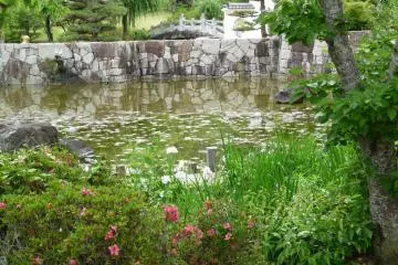 another view of the pond in the park
