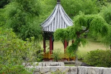 the gazebo by the pond