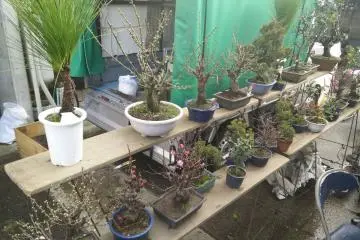 <p>Plants</p>
