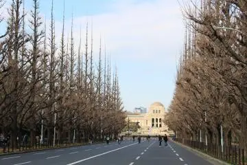 Overlooking the National Diet