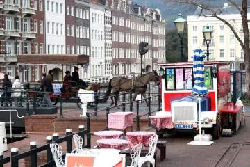 <p>A carriage was running inside the park</p>
