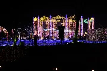 <p>Wow!</p>
