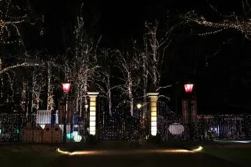 <p>The gate was also illuminated</p>
