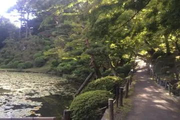 A trail leading past a peaceful pond.
