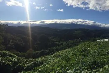 The view from the side of the castle, overlooking green hills and mountains
