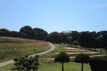 <p>สวนดอกไม้</p>