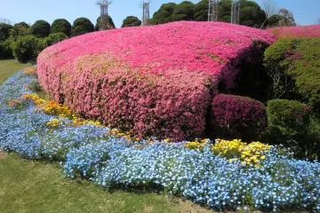 <p>ทางเดินสวนดอกไม้ 3</p>