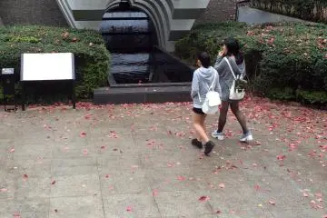 <p>Visitors pay tribute to the memorial.&nbsp;</p>
