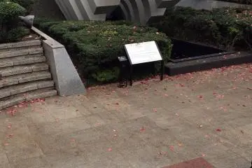 <p>Both bushes and concrete.</p>
