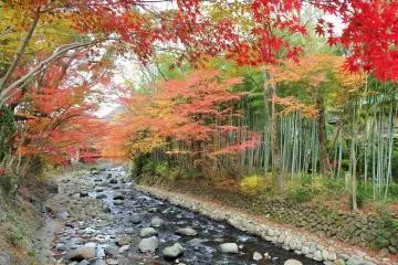 <p>In the morning, we took a walk along the river.</p>
