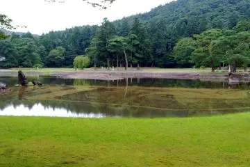 The very peaceful pond at Chuson Temple in Hiraizumi