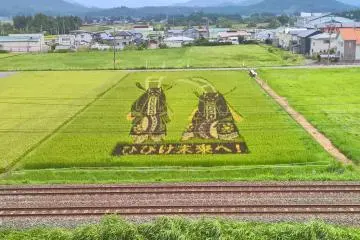 Rice art in Hanamaki depicting the Deer dancers, Shishi odori