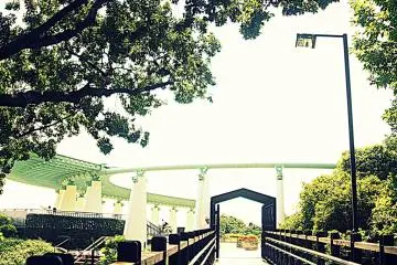 The wooden bridge that connects the bay-viewing area to another side of the park