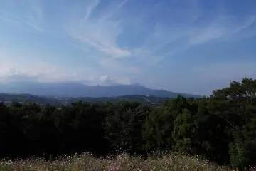 <p>The view from the top of the park</p>