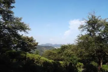 <p>And a view from the steps up to that shrine</p>