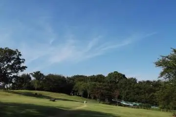 <p>The lawn at the top of the hill</p>