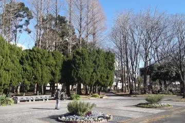 <p>A little plaza</p>
