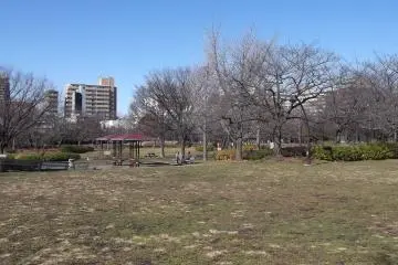 <p>A big lawn to run around or play frisbee on</p>

